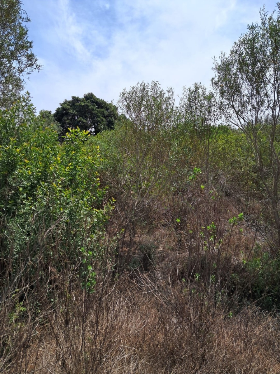 Commercial Property for Sale in Sandhoogte Western Cape